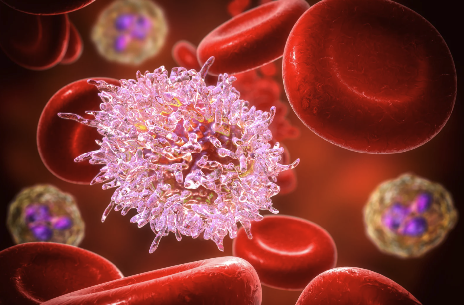 한의원기반 건강기능식품 제조